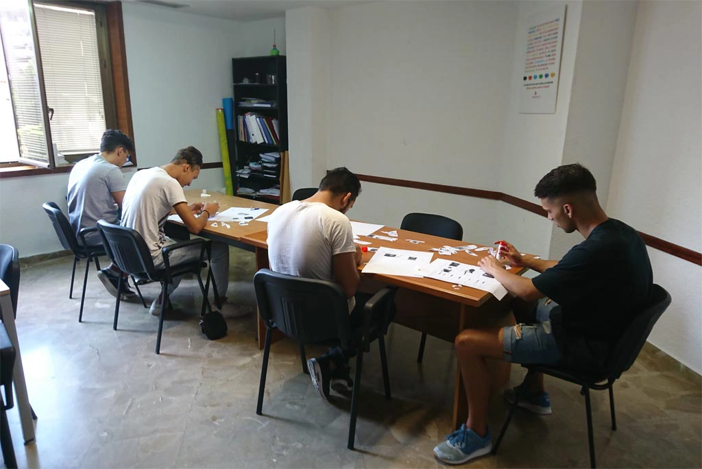 Descripción de la imagen 7