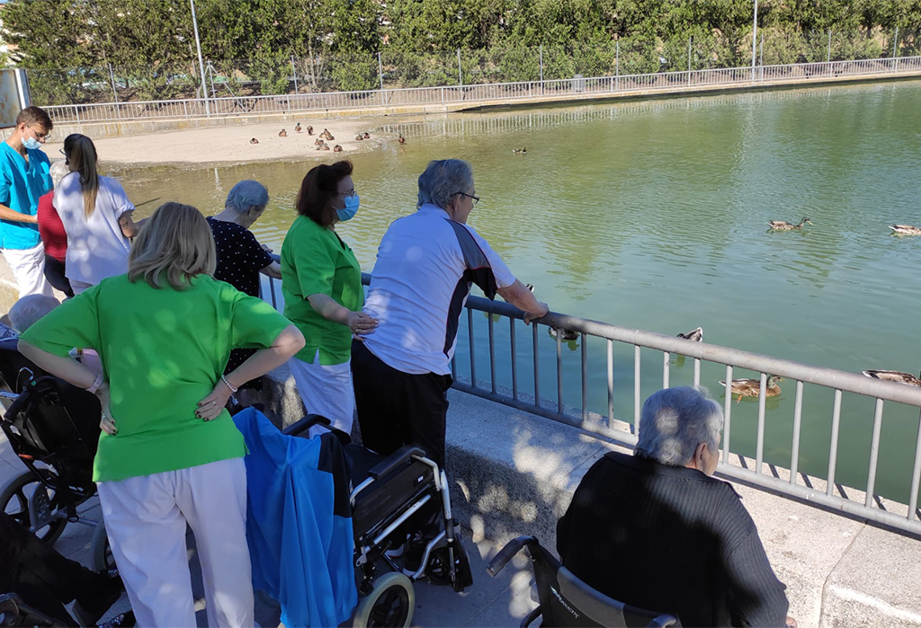 Descripción de la imagen 8